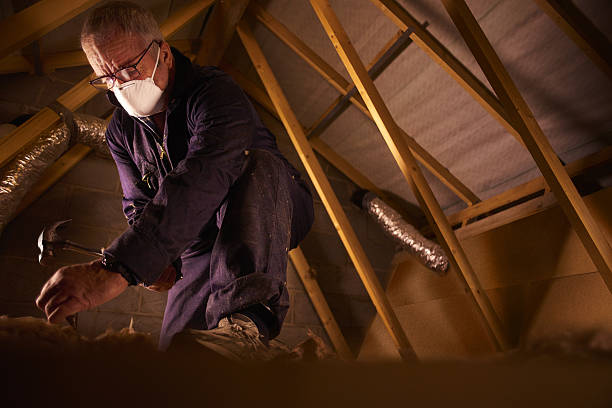 Best Residential Insulation in Shannondale, WV